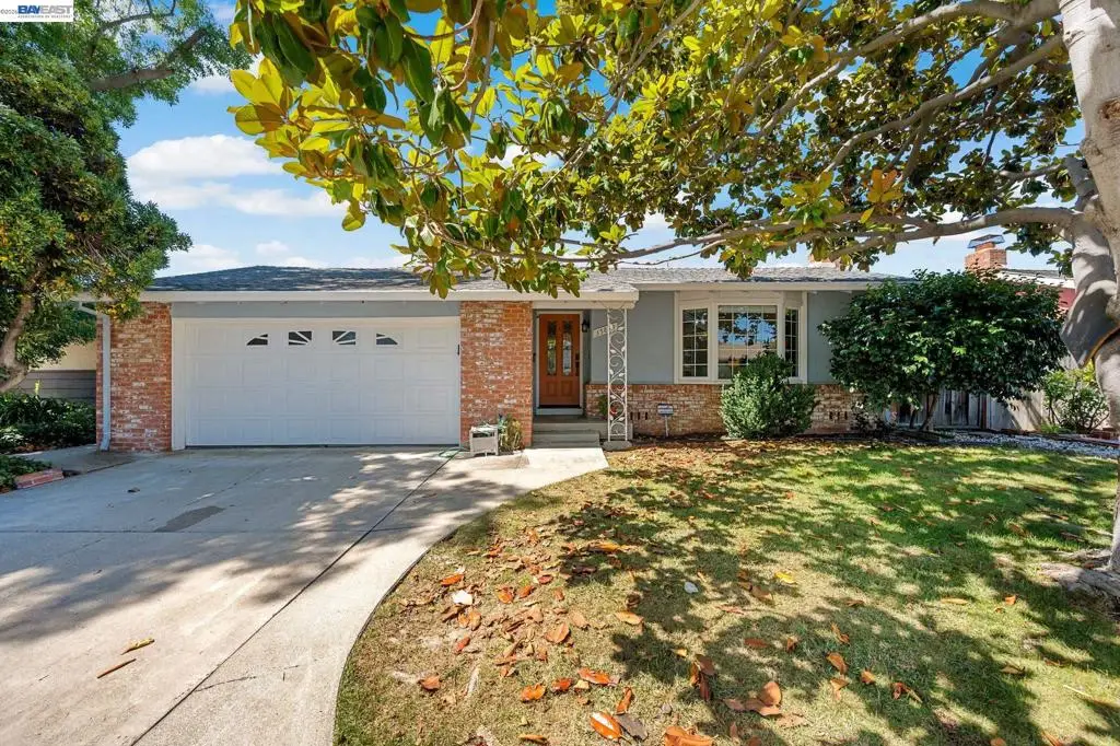 35843 Salvador Ct, Fremont, CA 94536 - #1