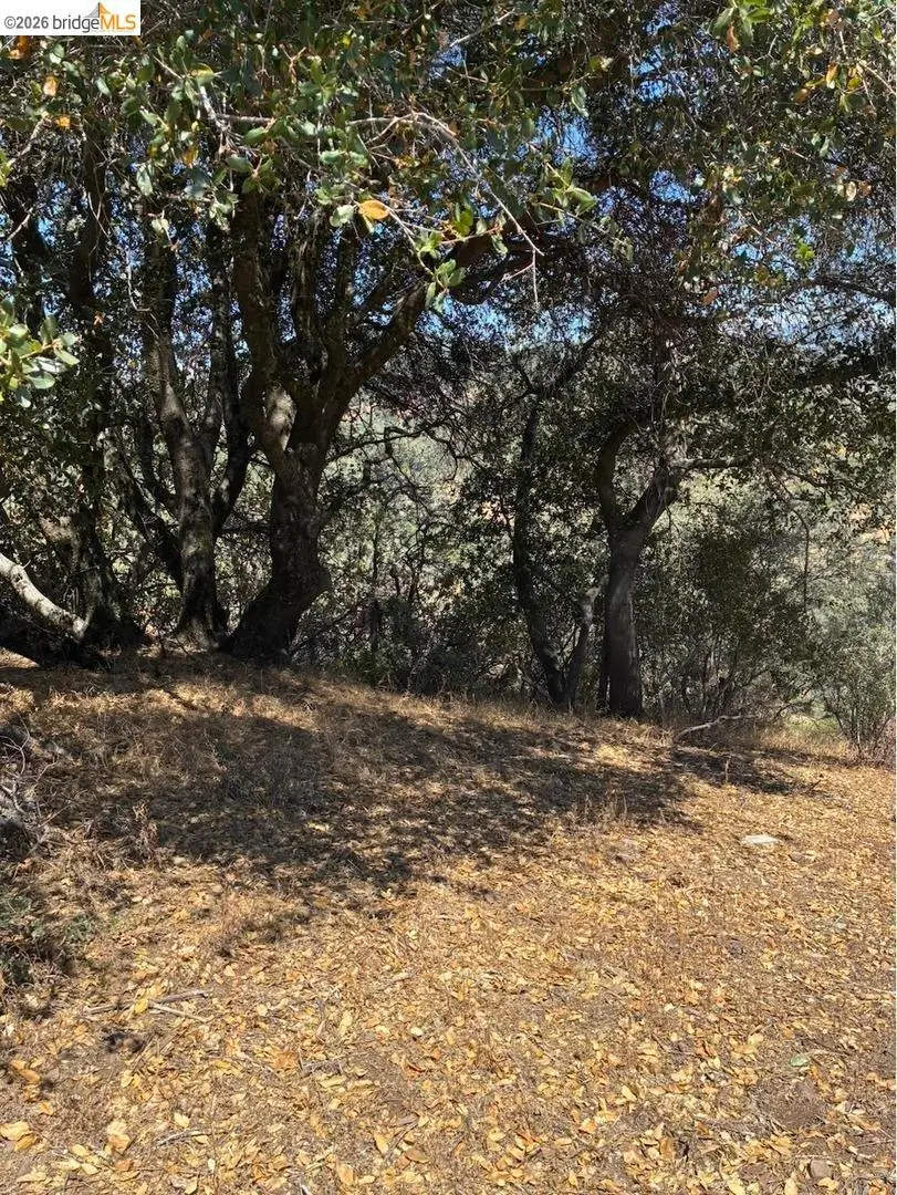 21289 Oman Dr, Soulsbyville, CA 95372 - #3