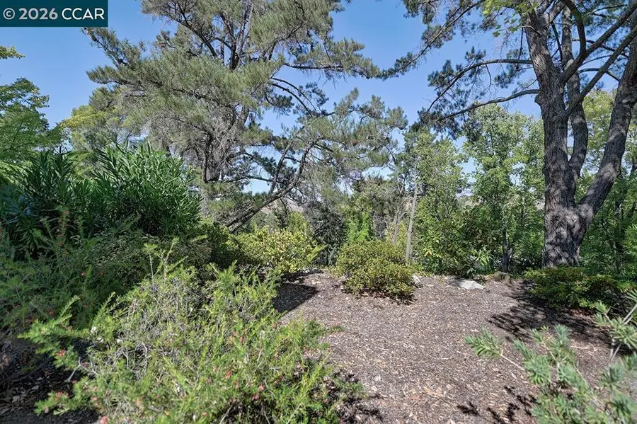 1332 Running Springs Rd #8, Walnut Creek, CA 94595 - #3