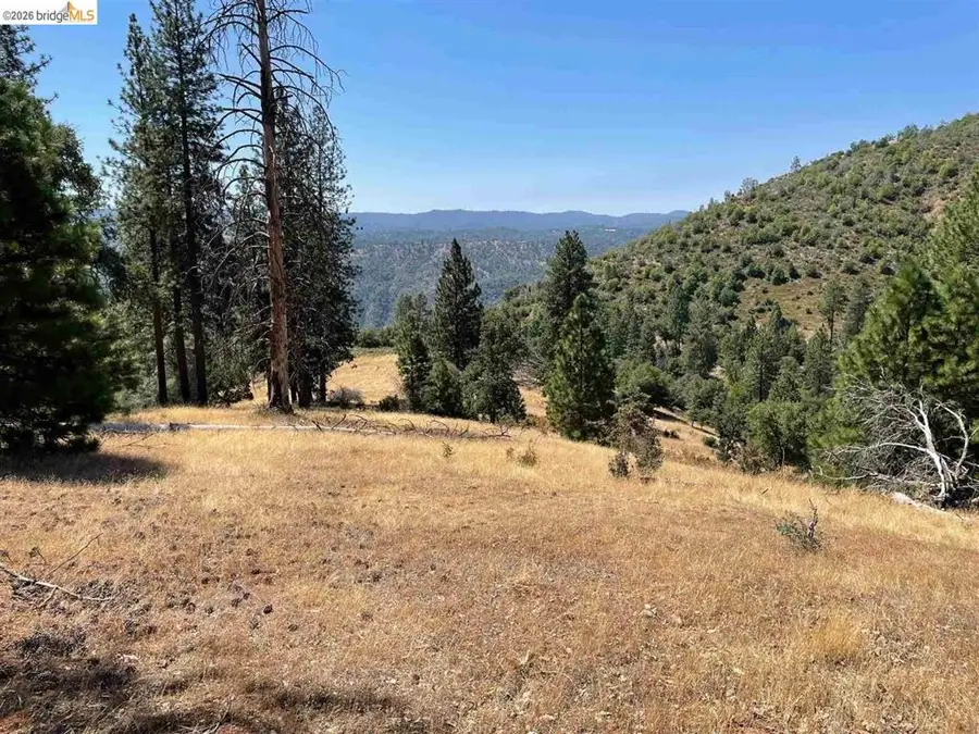 00000 Forrest Rd 1n19, Tuolumne, CA 95379 - #2