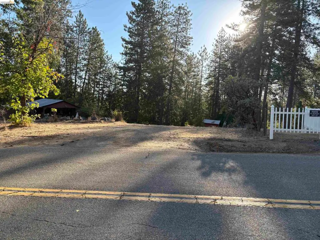 10162 Holtzel Road, Coulterville, CA 95311 - #1