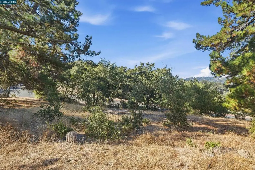 0 Hamlin Rd, Lafayette, CA 94549 - #1