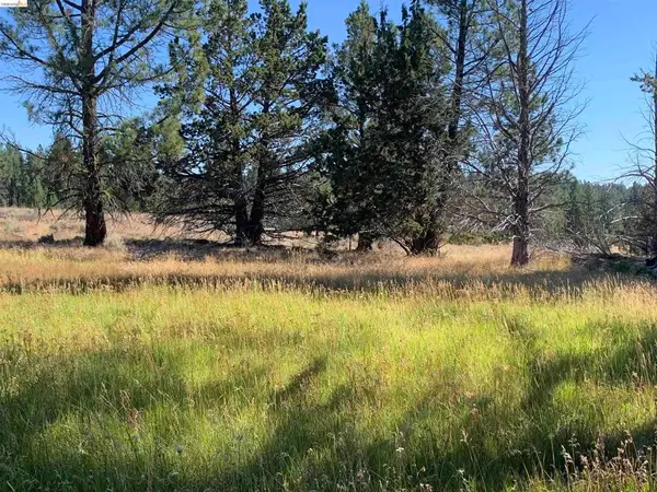 Address Withheld By Seller, Susanville, CA 96127