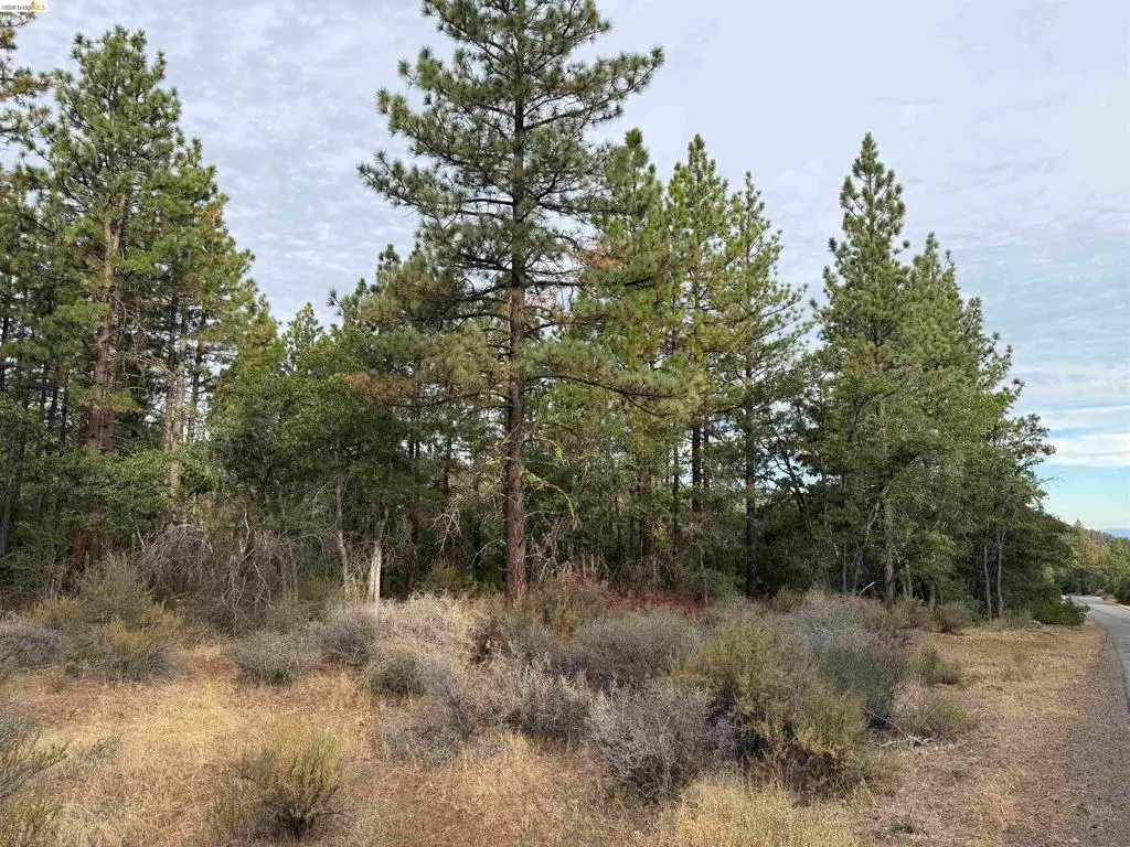 00000 Little Vallley, McArthur, CA 96056 - #1