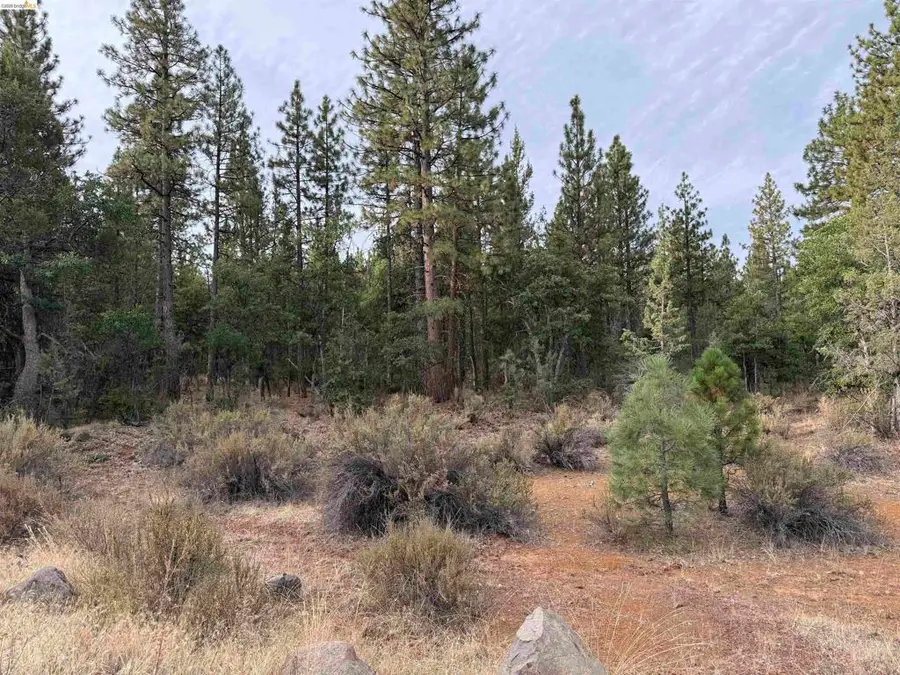 00000 Little Vallley, McArthur, CA 96056 - #2