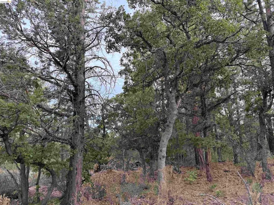 00000 Little Vallley, McArthur, CA 96056 - #3