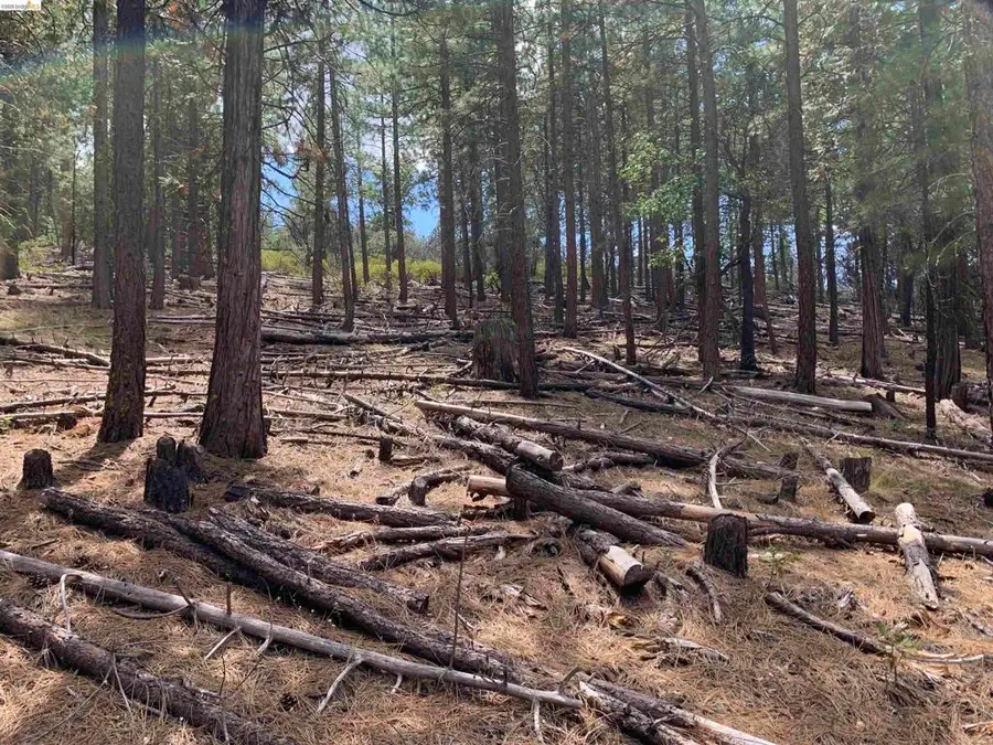 00000 Mcclelland, Bieber, CA 96009 - #2