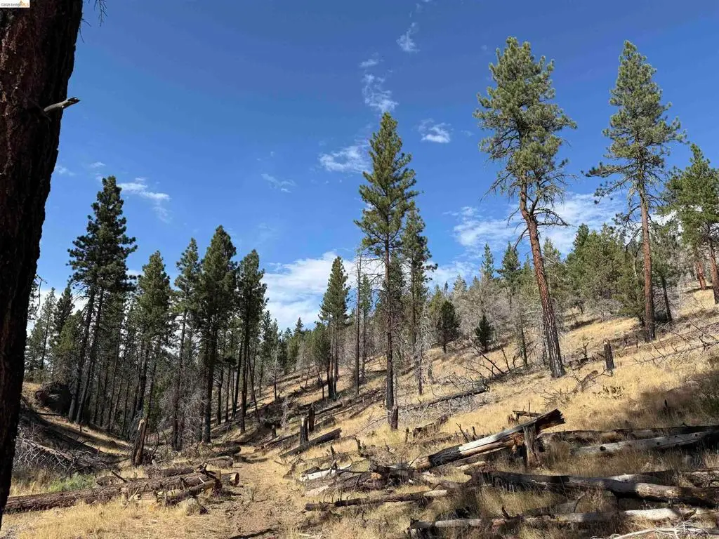 00000 Butte Creek Rd, Susanville, CA 96127 - #1