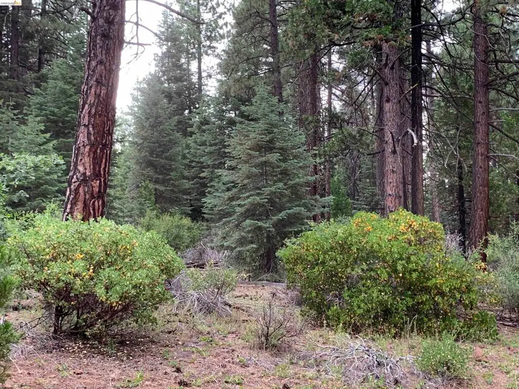 00000 Old Toll Rd, McArthur, CA 96068 - #1