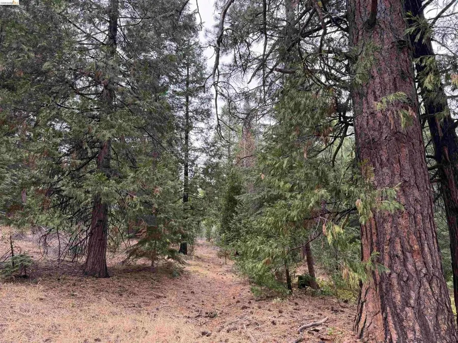 00000 Old Toll Rd, McArthur, CA 96068 - #3