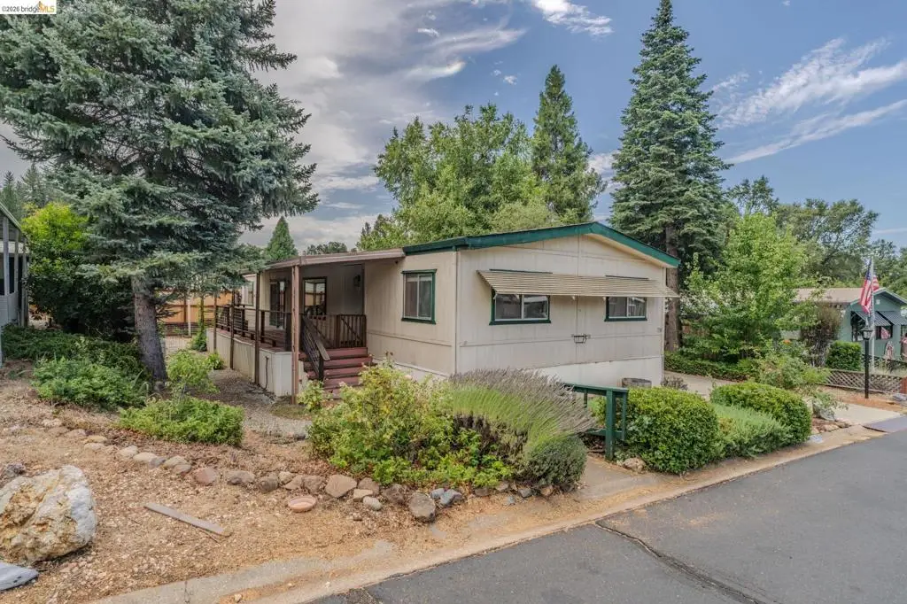 158 Three Fingered Jack, Murphys, CA 95247 - #1