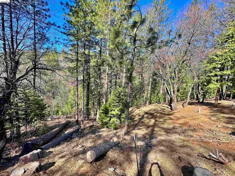 23956 Stable Rd, Sonora, CA 95370 - #3
