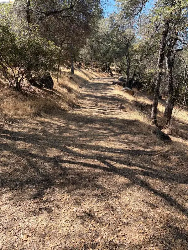 13643 Terrace Dr, Sonora, CA 95370