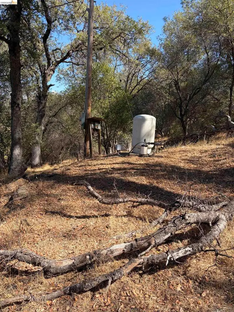 13643 Terrace Dr, Sonora, CA 95370 - #3