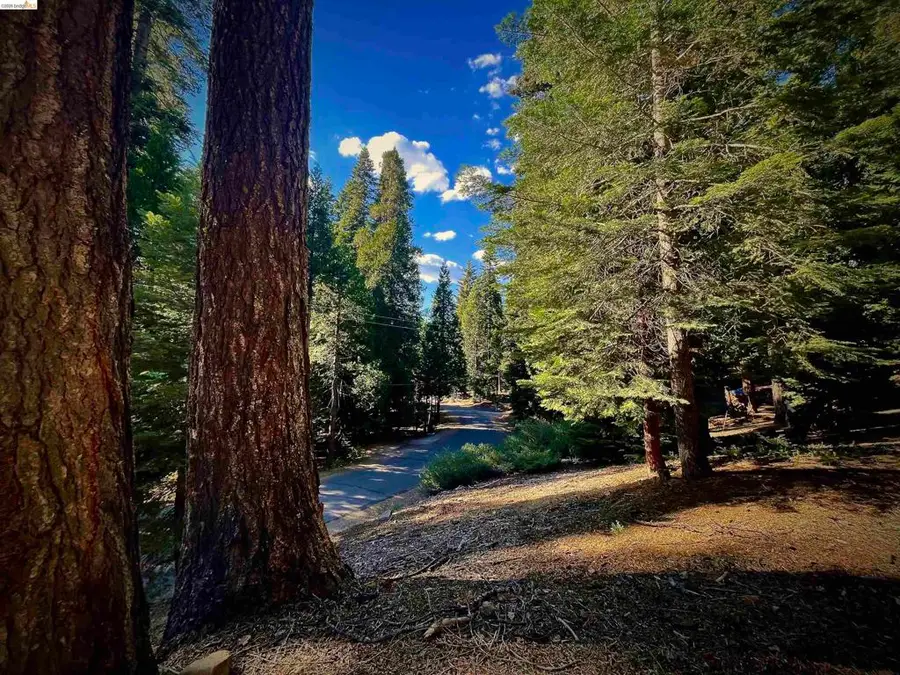 5125 Hokan Circle, Arnold, CA 95223 - #3