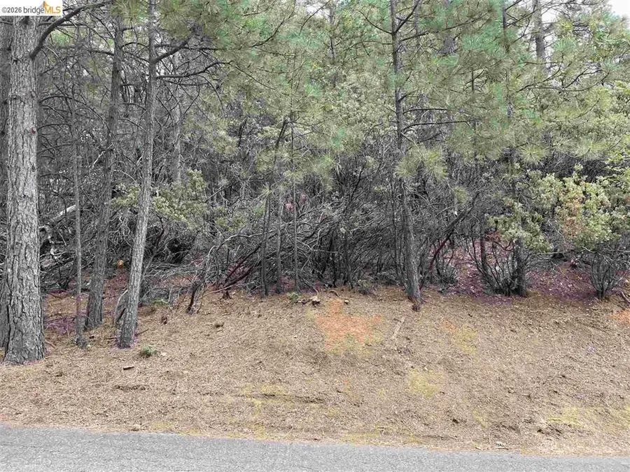 1 0001 Stable, Sonora, CA 95370 - #2