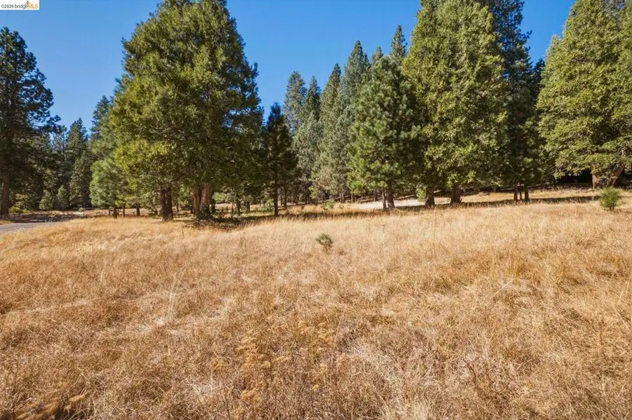 28130 Old Strawberry Road, Strawberry, CA 95375 - #3