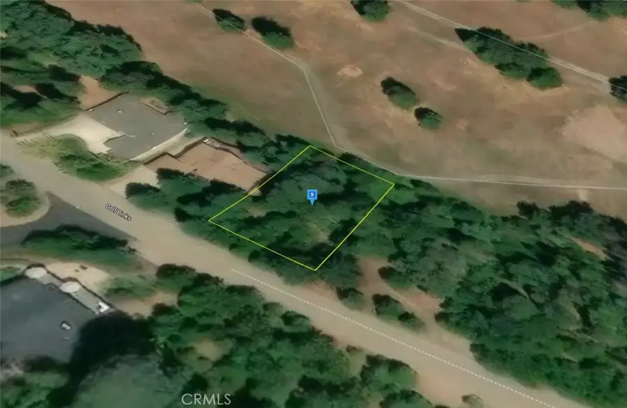 26581 Golf Links, Pioneer, CA 95666 - #3