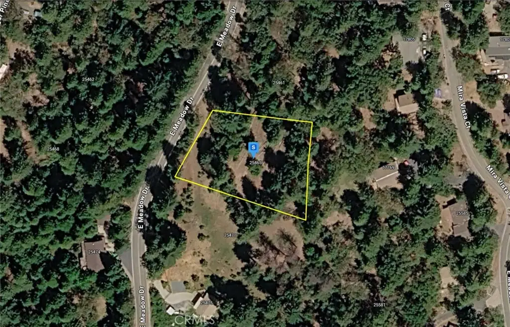 25465 E Meadow Drive, Pioneer, CA 95666 - #1