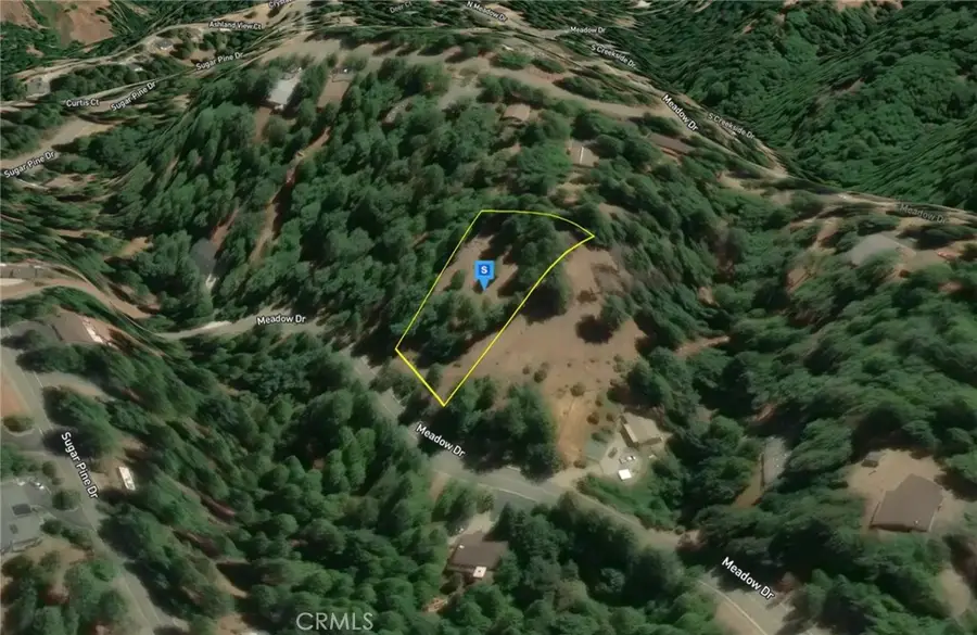 25465 E Meadow Drive, Pioneer, CA 95666 - #3