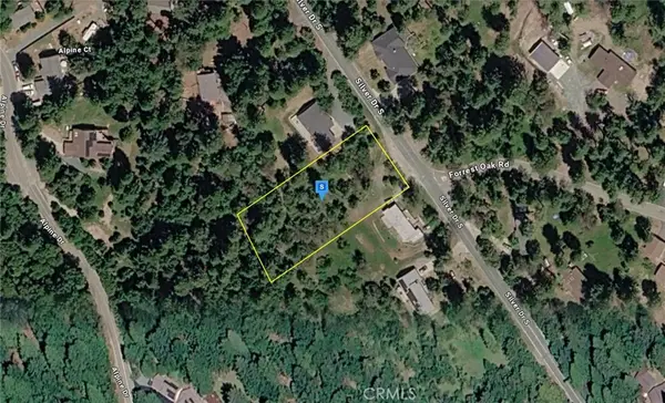 16735 Silver Drive S, Pioneer, CA 95666