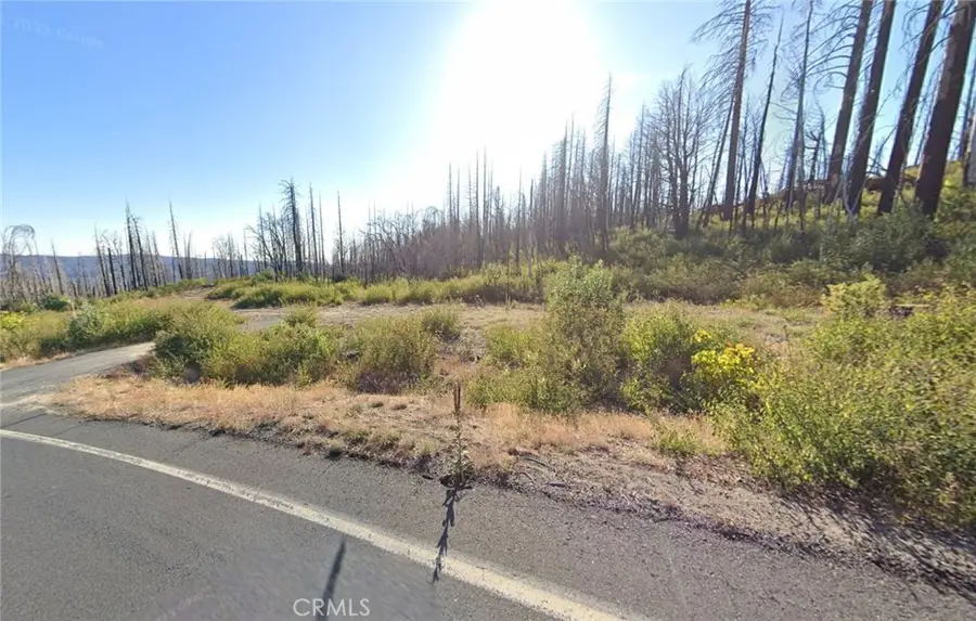105 Oro Quincy Highway, Berry Creek, CA 95916 - #3
