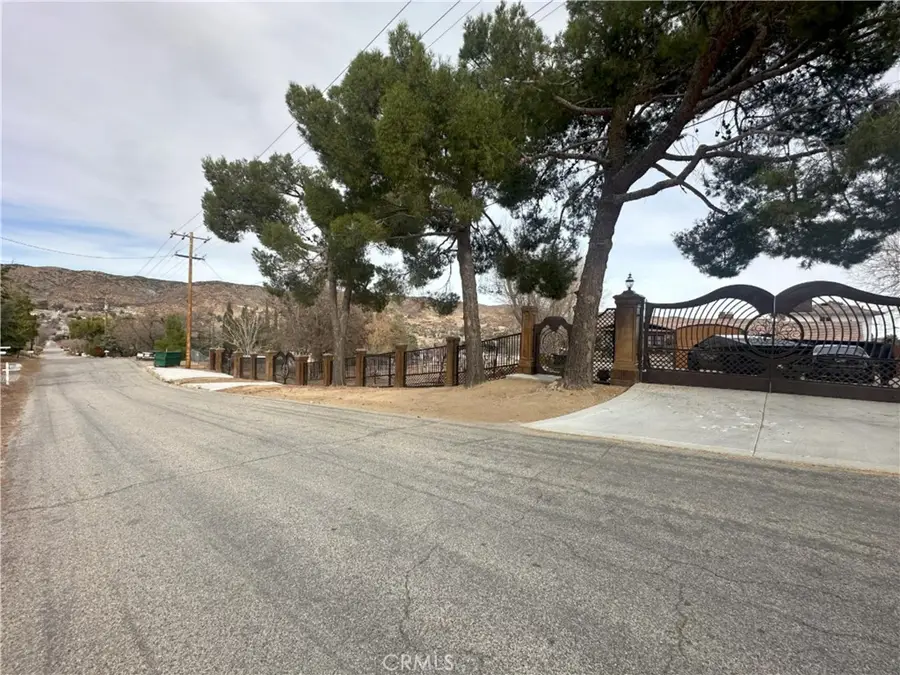 39954 90th Street W, Leona Valley, CA 93551 - #2