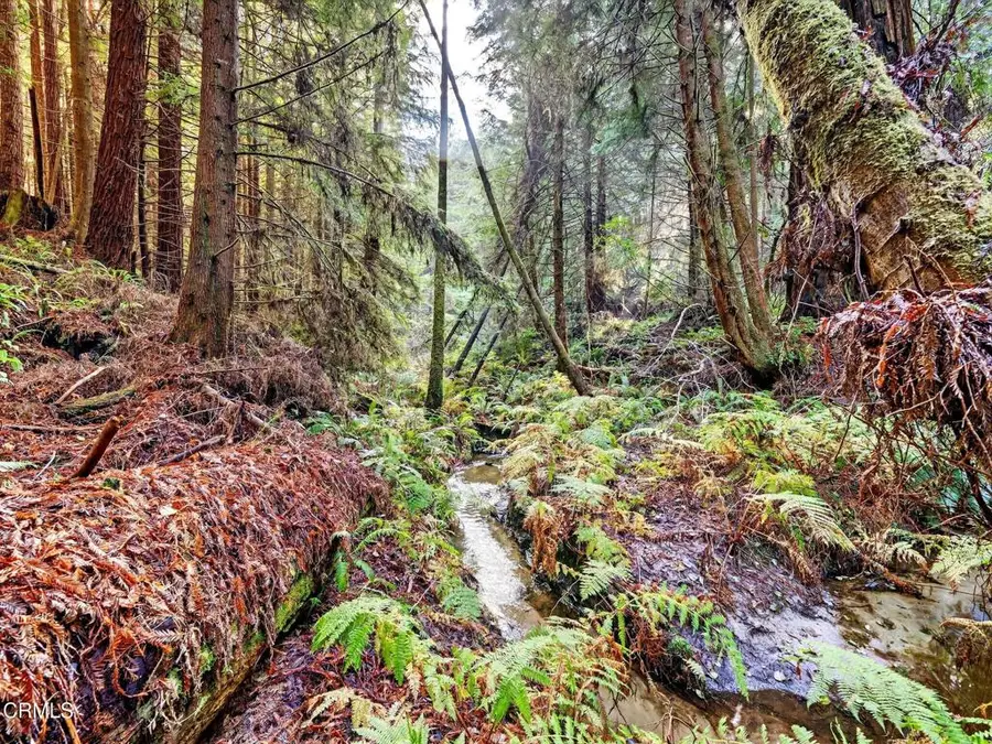 19400 Dorffi Road, Fort Bragg, CA 95437 - Image #3