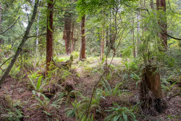 32100 Forest Lane, Fort Bragg, CA 95437