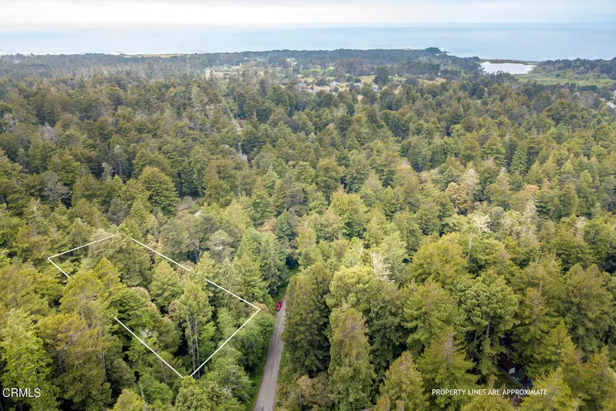 32100 Forest Lane, Fort Bragg, CA 95437 - #3