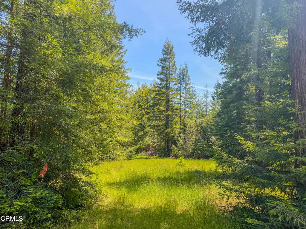 28540 Albion Ridge Road, Albion, CA 95410 - #1