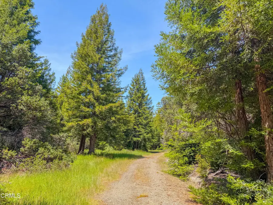 28540 Albion Ridge Road, Albion, CA 95410 - #3
