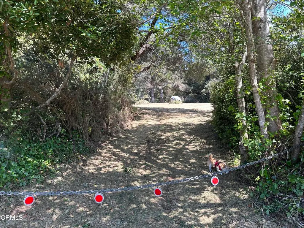 0 Pine Drive, Fort Bragg, CA 95437 - #1