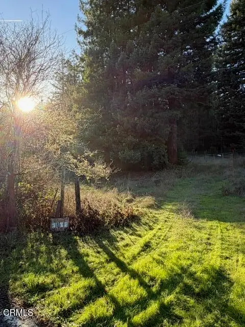 7800 Flynn Creek Road, Comptche, CA 95427 - #3