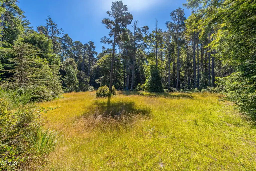 32401 Creekside Lane, Fort Bragg, CA 95437 - #1