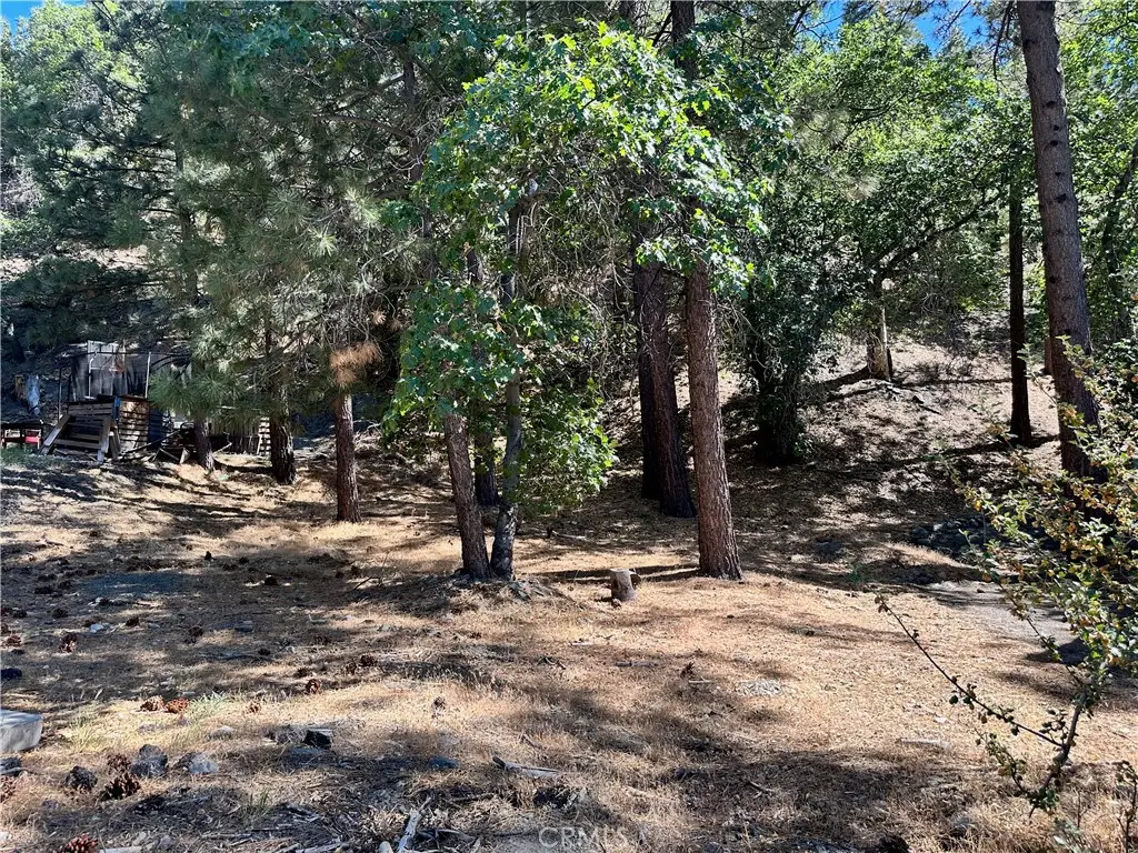 0 Heath Creek Drive, Wrightwood, CA 92397 - #1