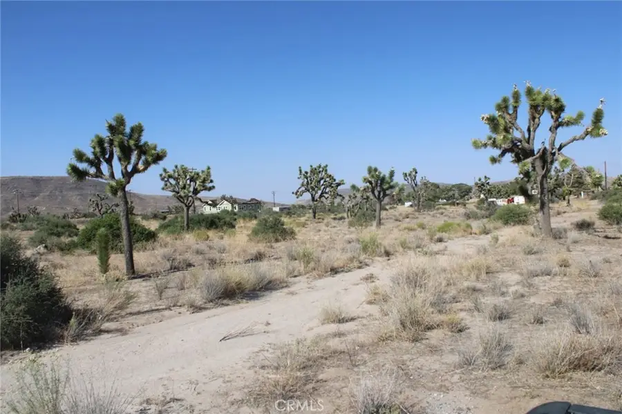 0 Minna Gombell Ln., Pioneertown, CA 92668 - #2