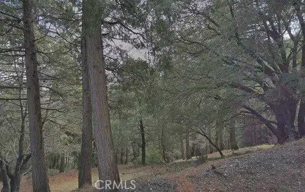 0 Burnt Mill Canyon, Cedarpines Park, CA 92322 - #2