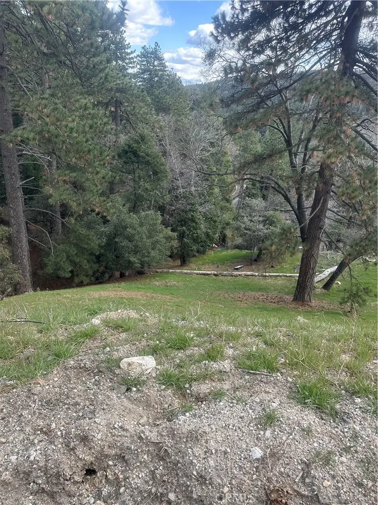 0 Fern Canyon, Cedarpines Park, CA 92322 - #1