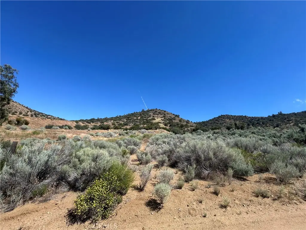 0 Vac/alluvium Wy (drt)/vic Rosenl, South Antelope Valley, CA 91350 - #1