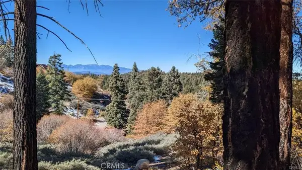 0 San Antonio Drive, Green Valley Lake, CA 92341