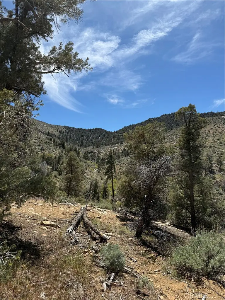 0 310-040-017 Pine Creek Valley Road, Inyokern, CA 93527 - #2