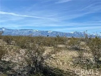 0 South, Phelan, CA 92371 - #2