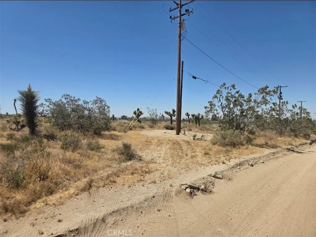 11524 Wintergreen Rd, Pinon Hills, CA 92372 - #1