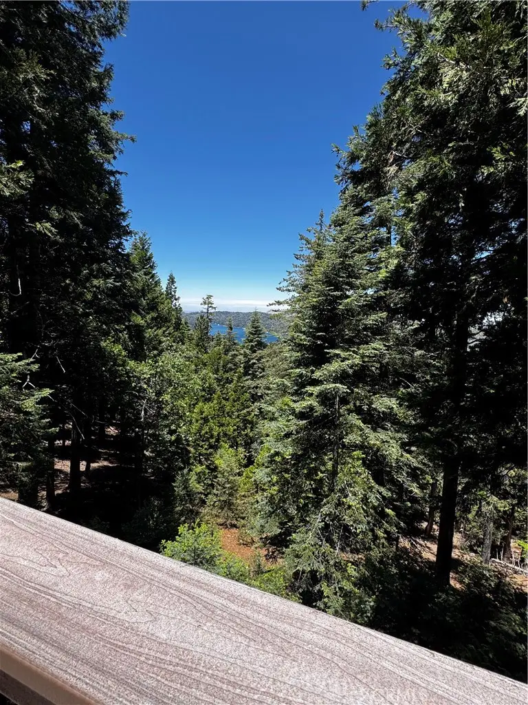 29130 Bald Eagle, Lake Arrowhead, CA 92352 - #3