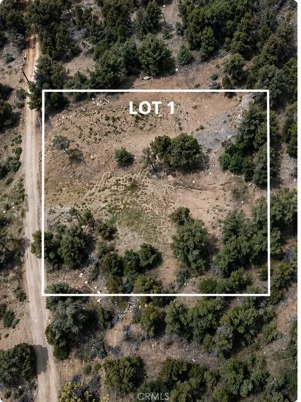 45822 Falling Springs, Big Bear City, CA 92314