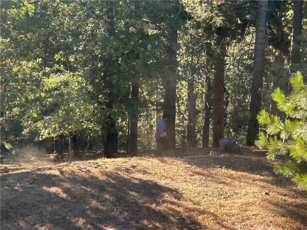 2335 Deep Creek, Running Springs, CA 92382 - #1