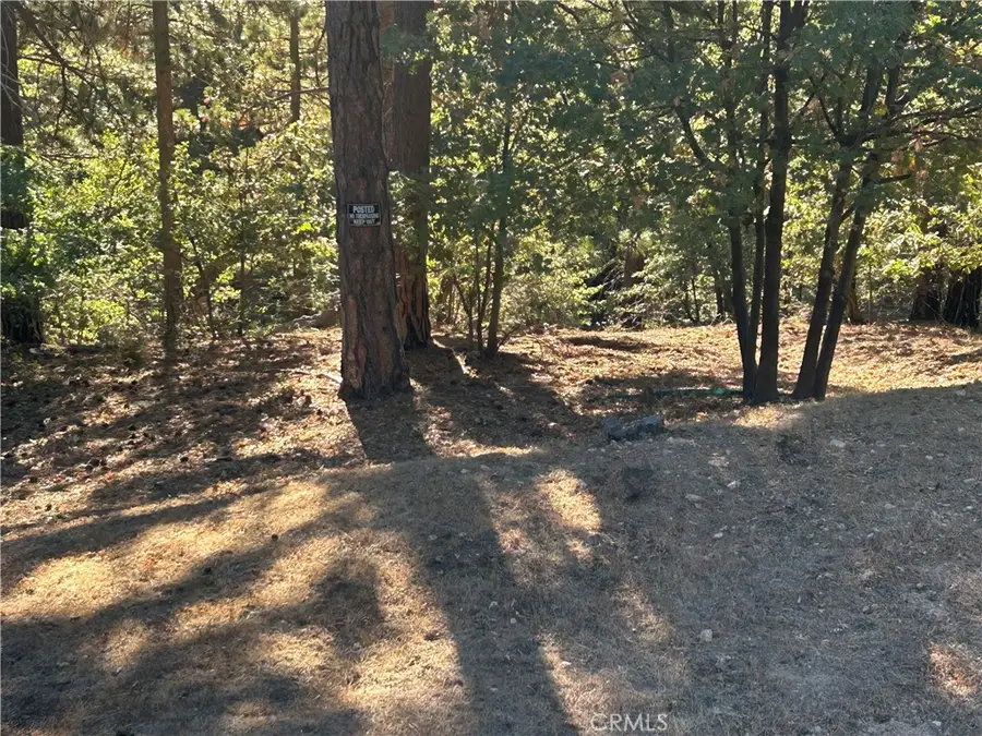 2335 Deep Creek, Running Springs, CA 92382 - #2
