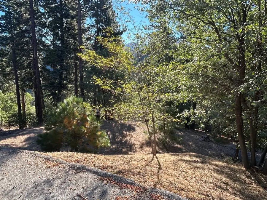 2335 Deep Creek, Running Springs, CA 92382 - #3