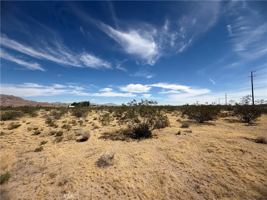 9705 Buena Vista, Lucerne Valley, CA 92356 - #3